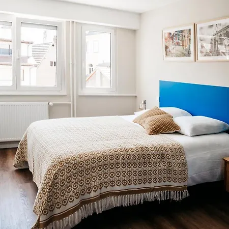 Le 19 Kleber Climatise شقة كولمار