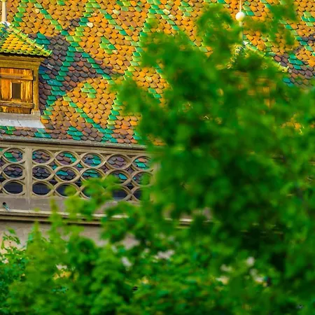 Le 19 Kleber Climatise * كولمار