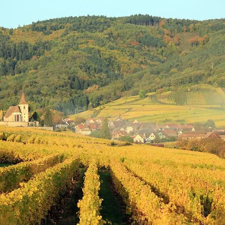 Lejlighed Le 19 Kleber Climatise *