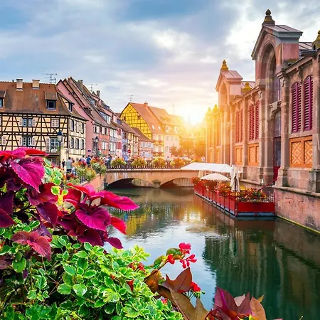 Le 19 Kleber Climatise * Colmar