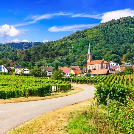 Appartement Le 19 Kleber Climatise *