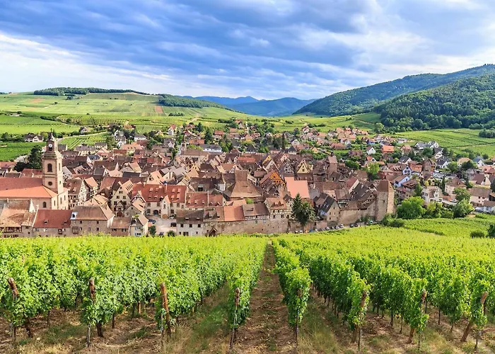 Apartment Le 19 Kleber Climatise Colmar